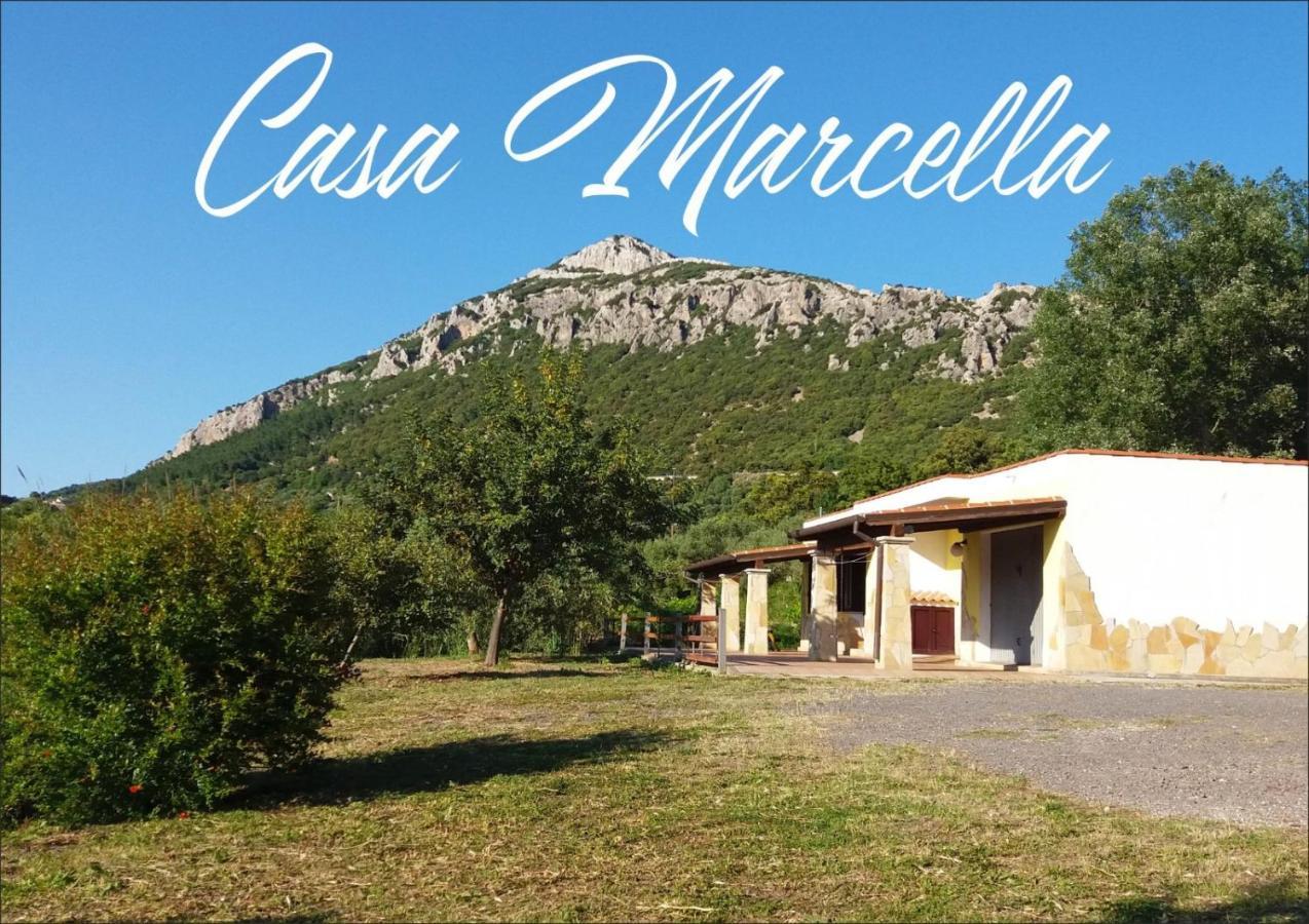 Apartamento Casa Marcella Dorgali Exterior foto
